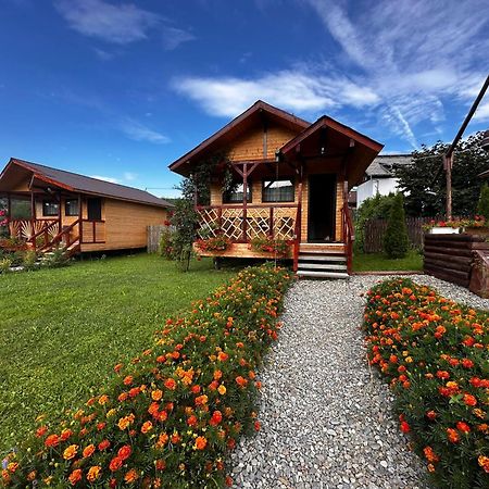 Вилла Baltina Parc Transfagarasan Куртя-де-Арджеш Экстерьер фото