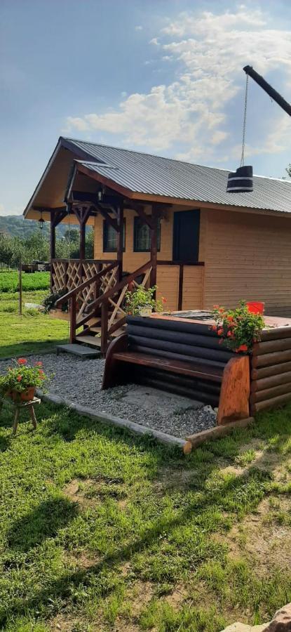Вилла Baltina Parc Transfagarasan Куртя-де-Арджеш Экстерьер фото