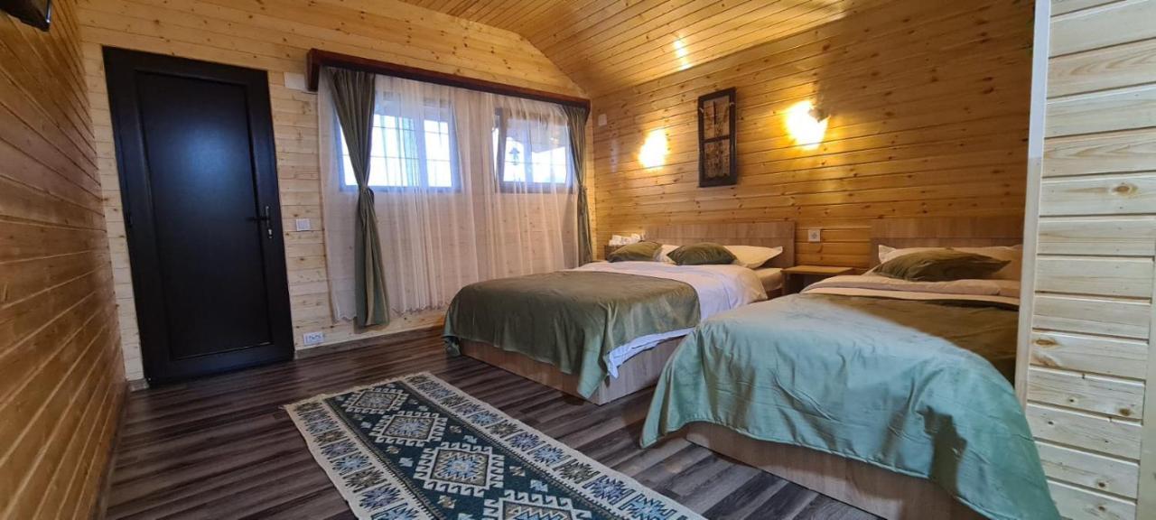 Вилла Baltina Parc Transfagarasan Куртя-де-Арджеш Экстерьер фото