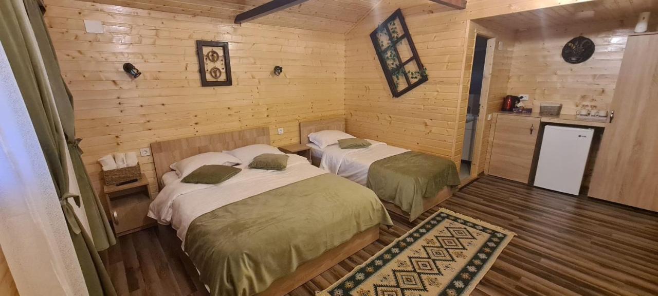 Вилла Baltina Parc Transfagarasan Куртя-де-Арджеш Экстерьер фото