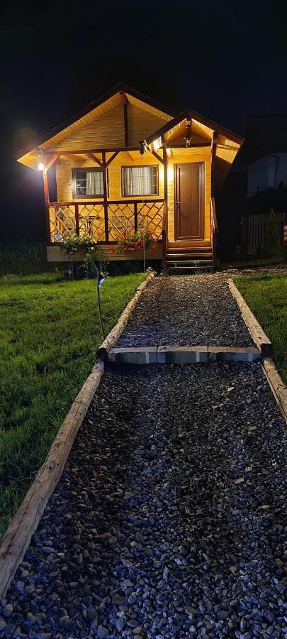 Вилла Baltina Parc Transfagarasan Куртя-де-Арджеш Экстерьер фото