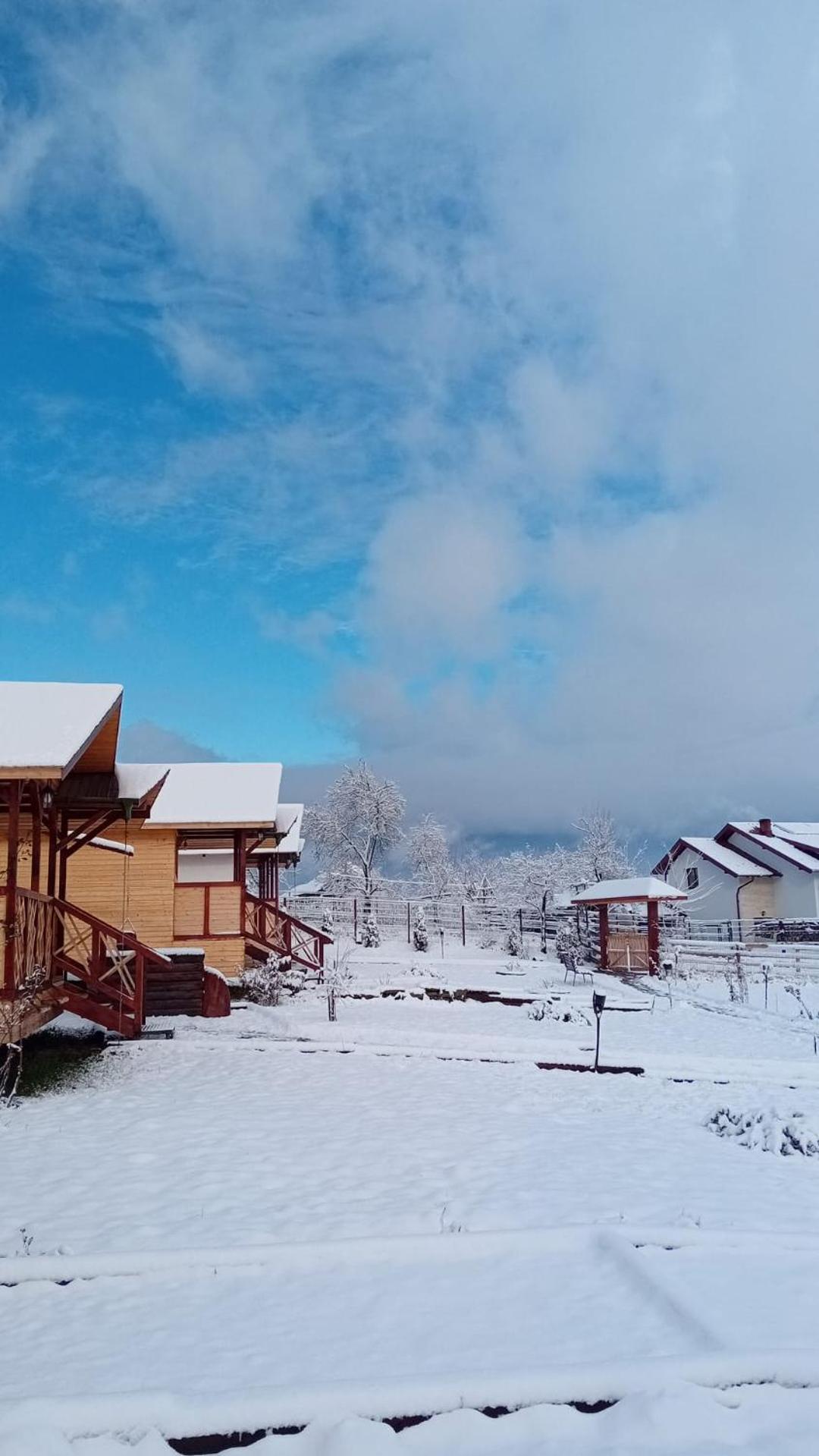 Вилла Baltina Parc Transfagarasan Куртя-де-Арджеш Экстерьер фото