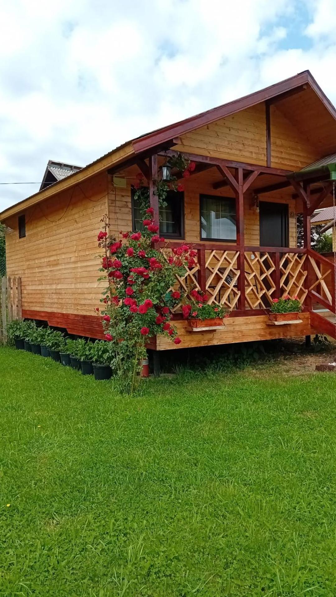 Вилла Baltina Parc Transfagarasan Куртя-де-Арджеш Экстерьер фото