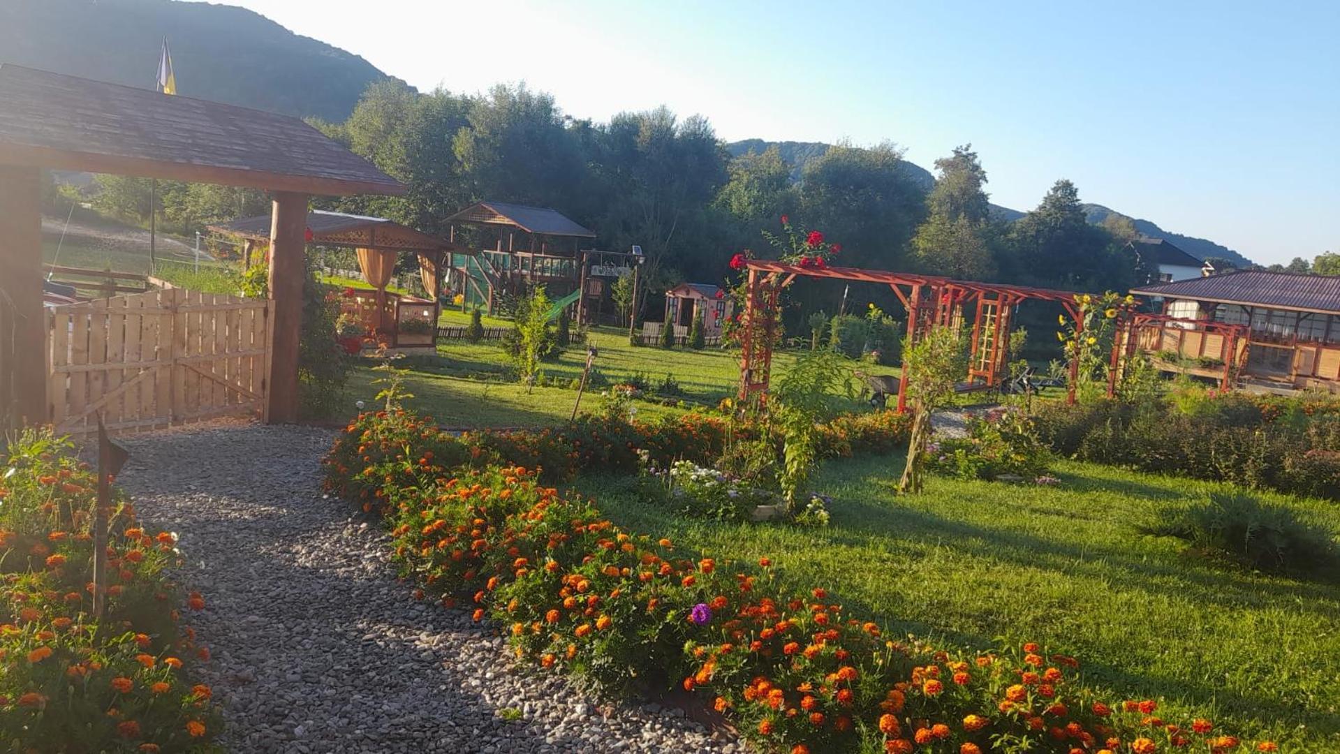 Вилла Baltina Parc Transfagarasan Куртя-де-Арджеш Экстерьер фото